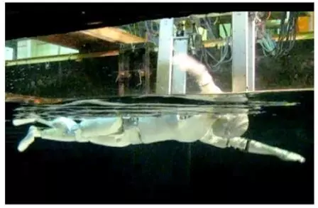 Swumanoid is designed to reproduce a human swimmer's movements (Image: Tokyo Institute of Technology)