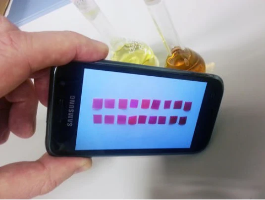 A new test sheet developed in Spain reveals the presence of mercury in water (Photo: J. M. García et al.)