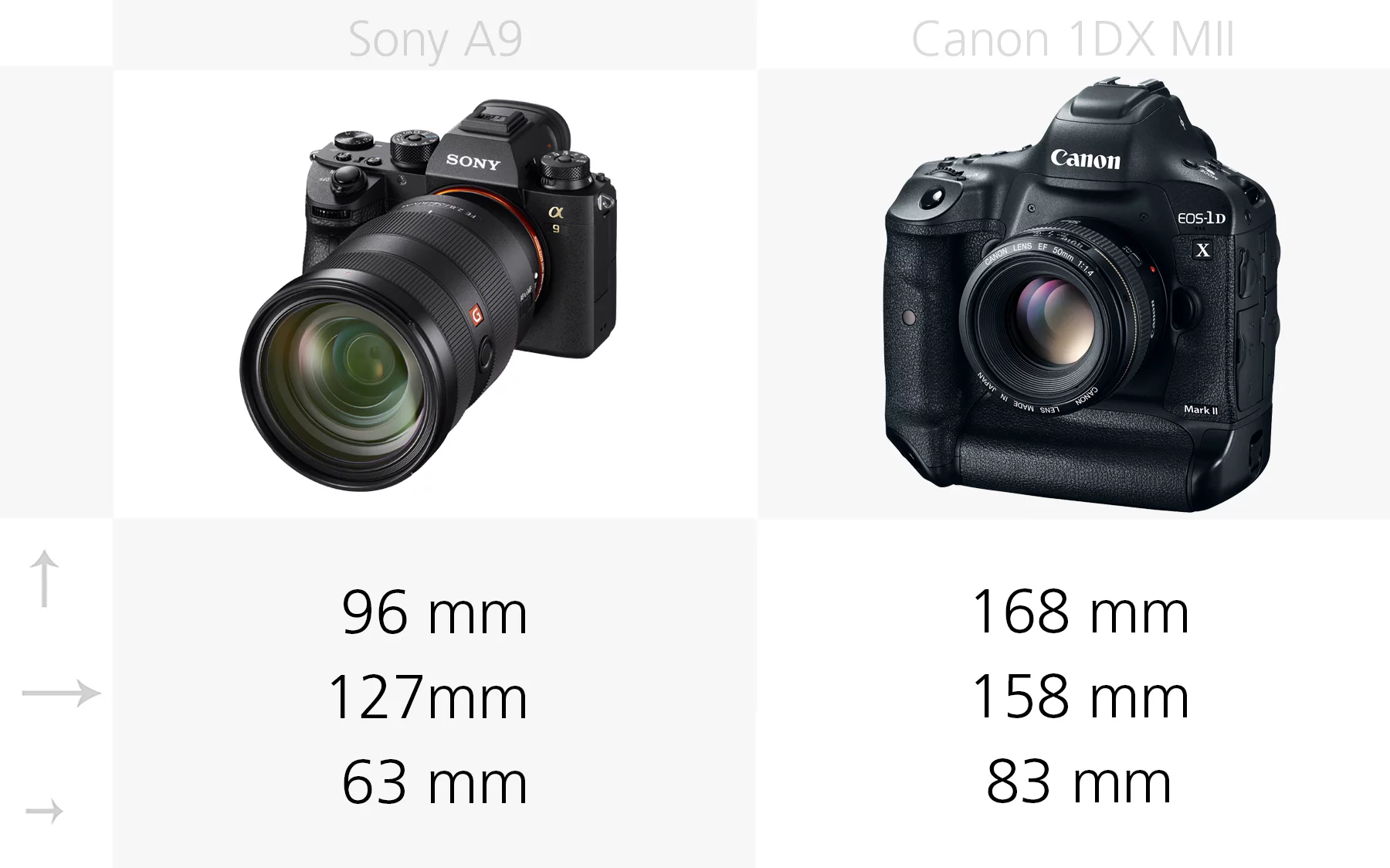 Comparing the dimensions of the Sony A9 and Canon 1DX Mark II