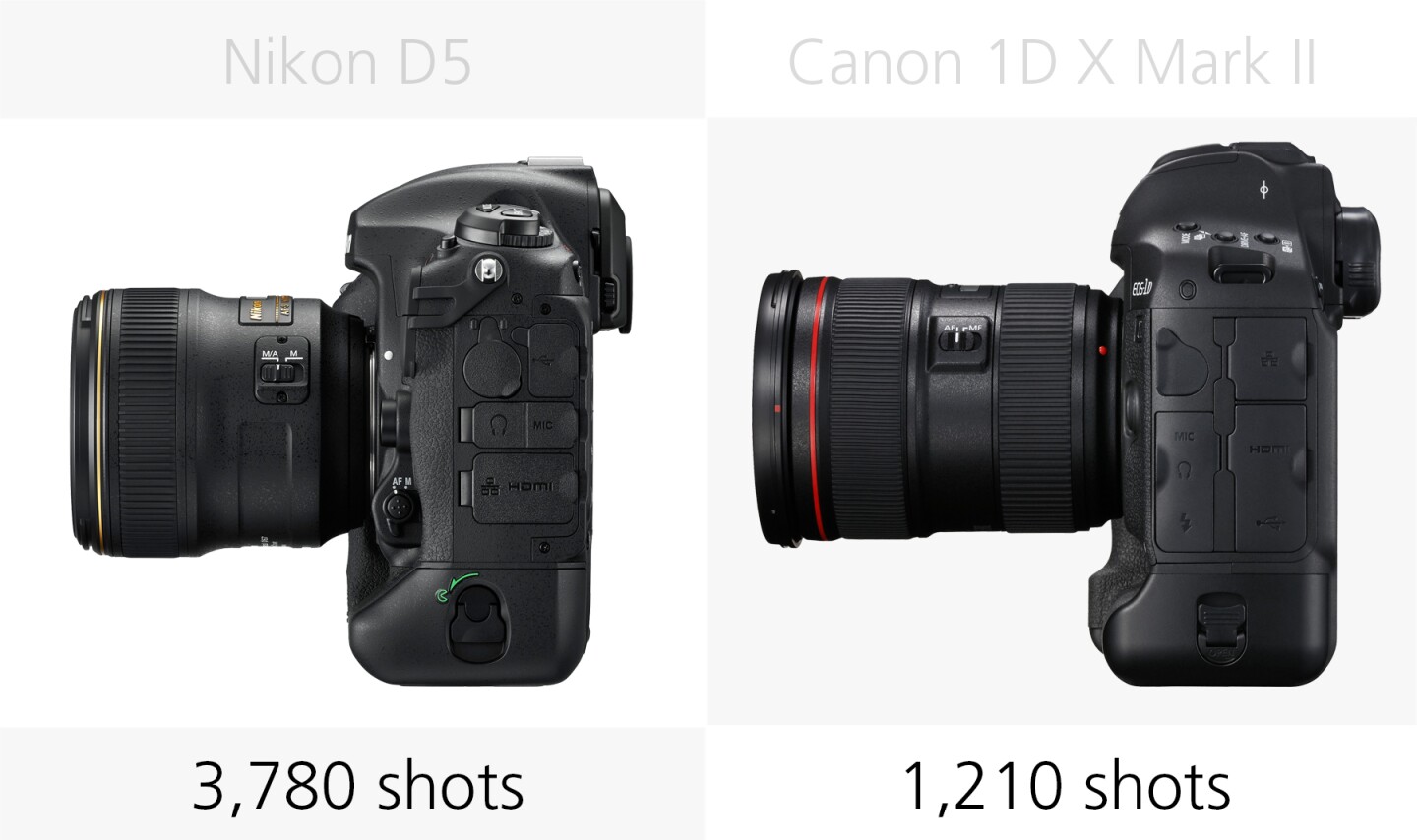 Battery comparison of the Nikon D5 and Canon 1D X Mark II