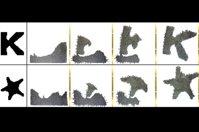 The Kilobots utilized simple behaviors such as following the edge of a group, tracking their distance from a starting point, and maintaining a sense of location relative to one another