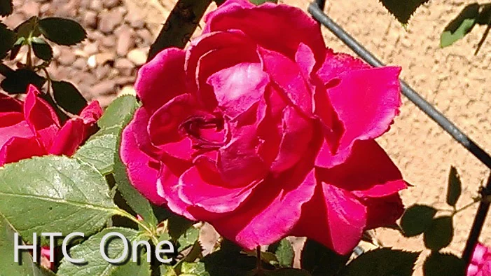 Close crop of outdoor shot taken with the HTC One