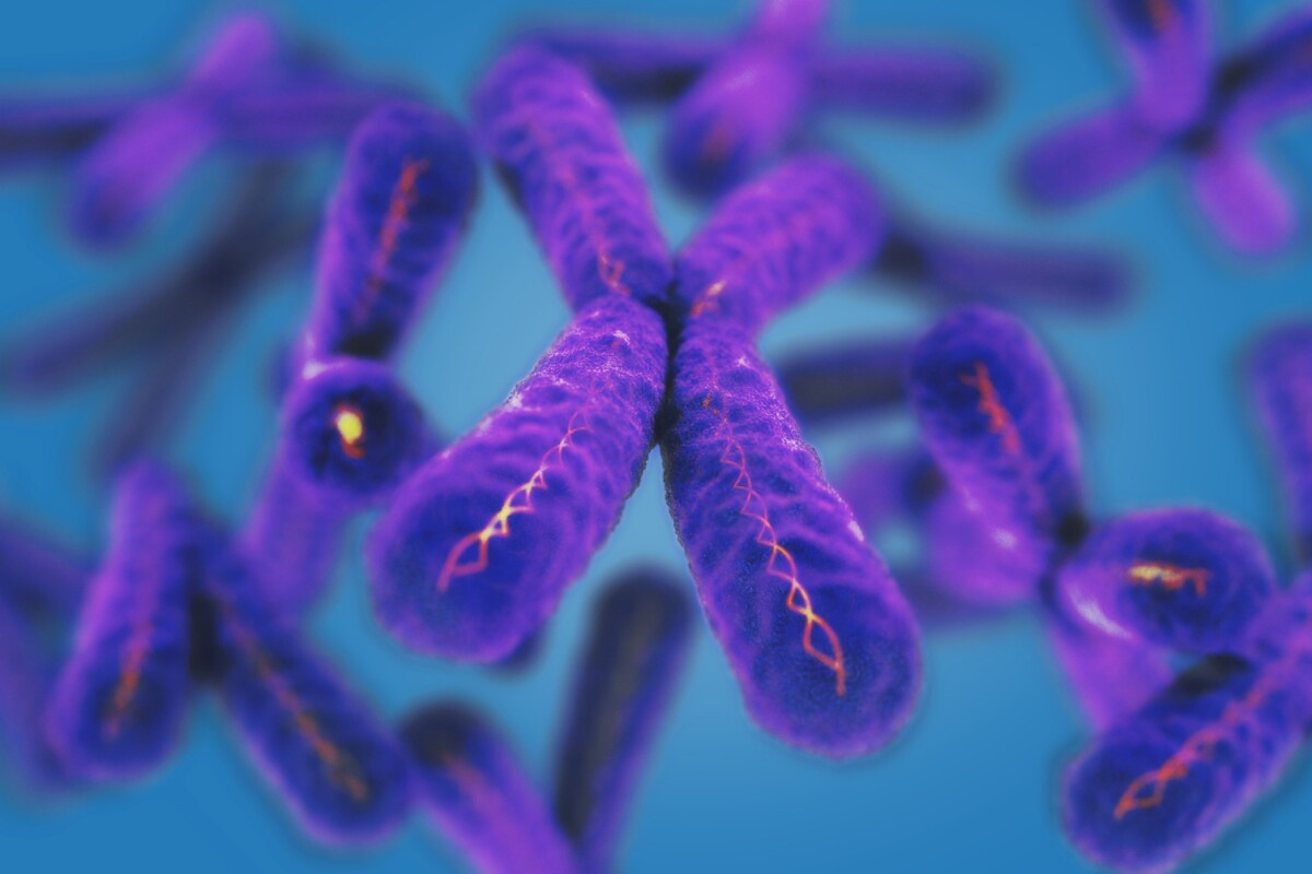 Scientists have discovered a new protein that regulates cellular aging