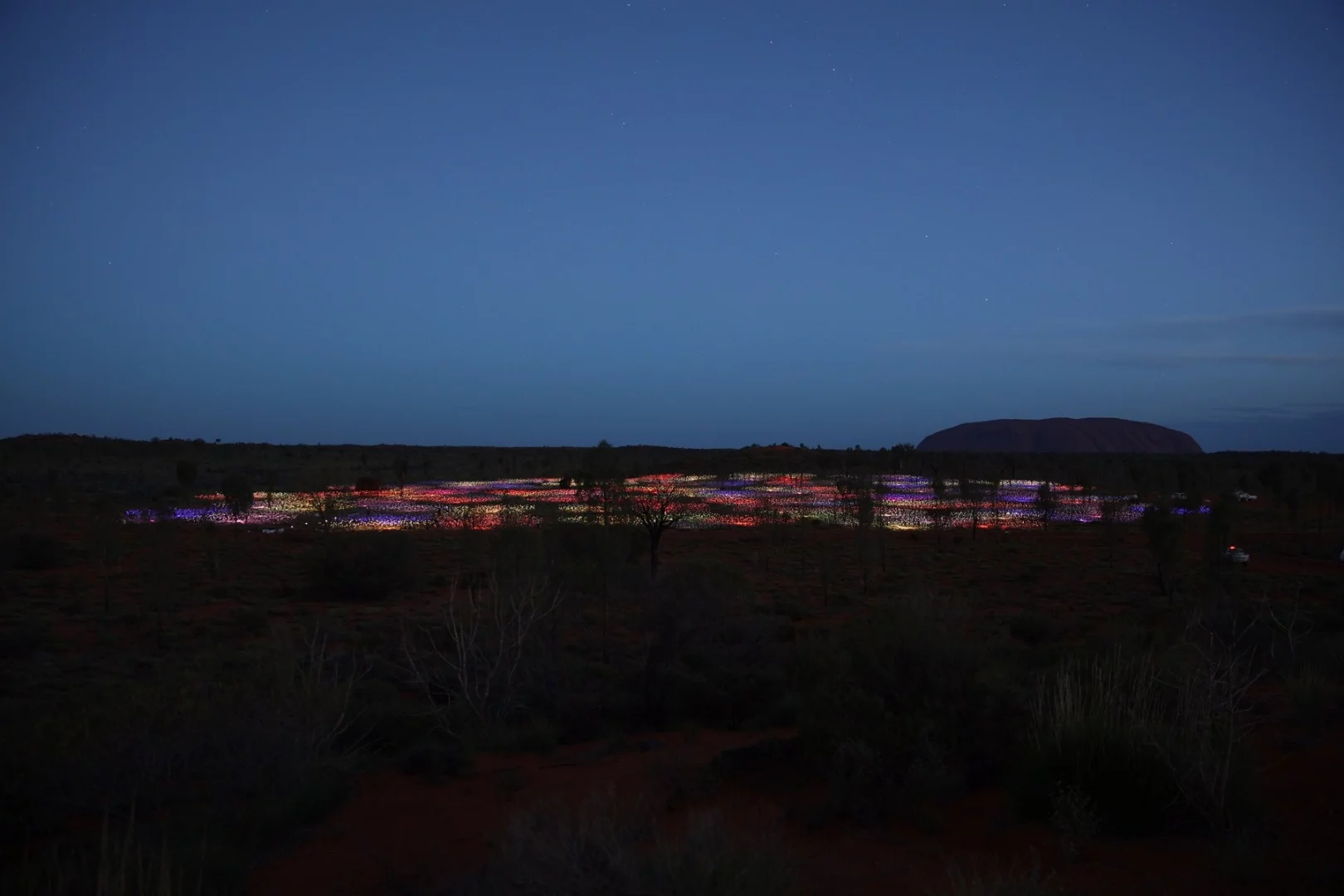 The Field of Light installation is located near Uluru in Australia