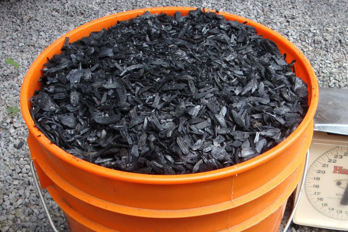 Biochar â€“ a charcoal created by pyrolysis could offset 12 percent of human greenhouse gas emissions (Image: bdiscoe)