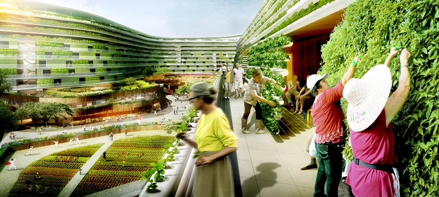 As well as producing food, Homefarm would improve health and community among Singaporean seniors (Image: Spark)