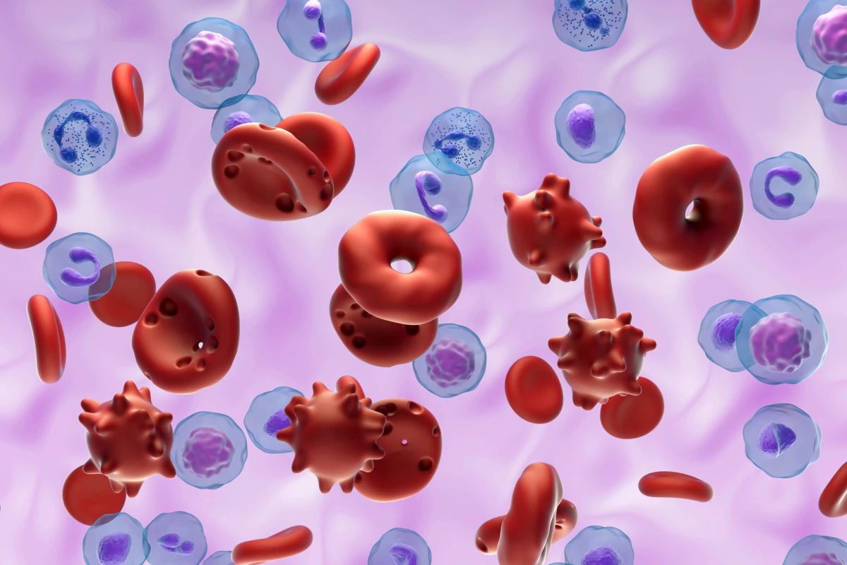 Discovery of a new blood-clotting mechanism could change the treatment of heart attacks and strokes