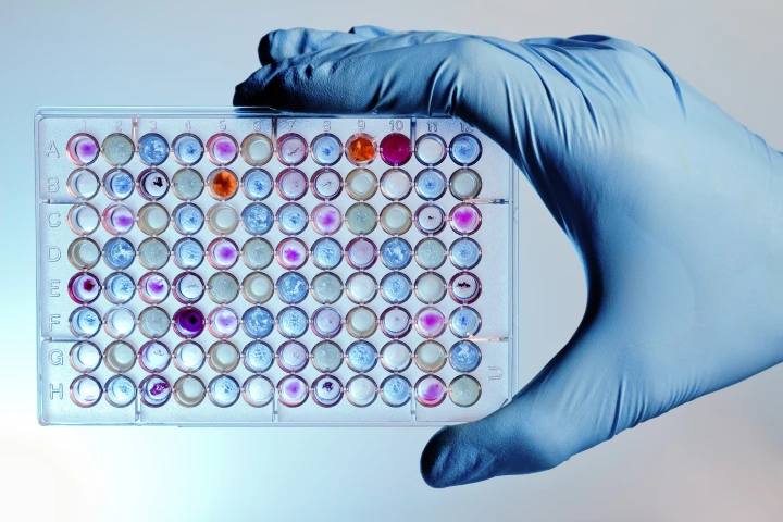 Harvard researchers have developed a new system for reading and writing data to organic molecules