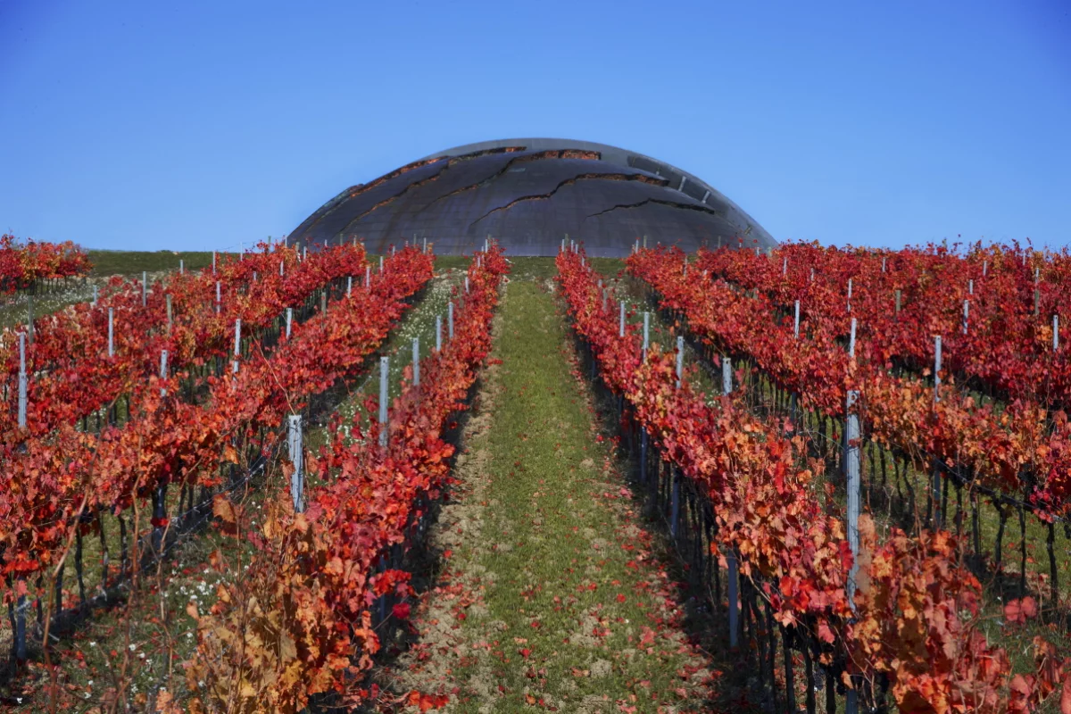 The dome-like building is actually a giant copper sculpture, furrowed with organic shaped cracks