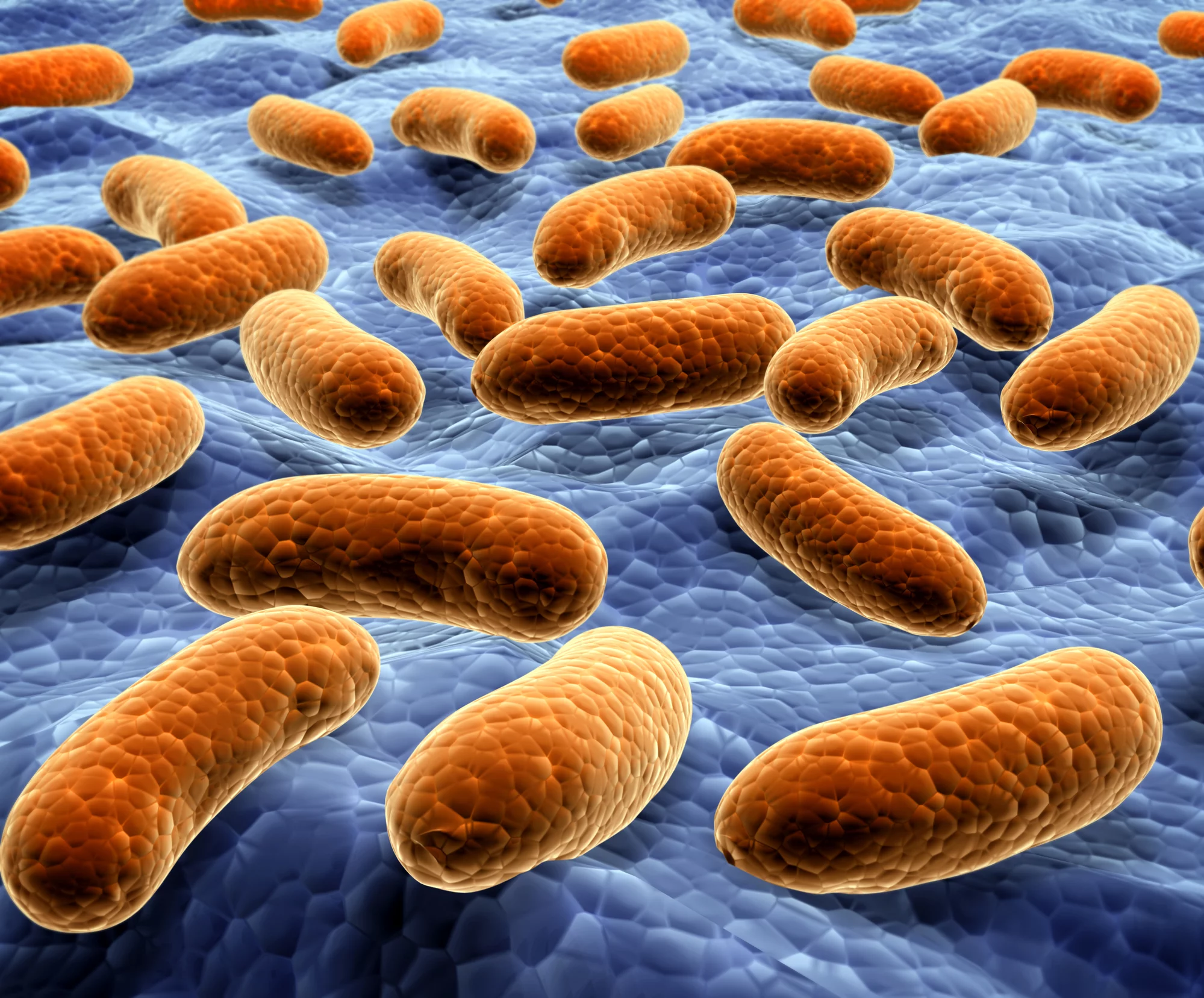Researchers have developed a new hydrogel that releases antibiotics in response to the presence of bacteria
