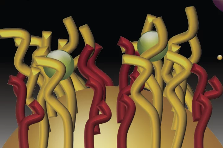 The tiny hairs on the "nano-velcro" particles trap heavy metal ions in their grasp allowing the level of pollution to be calculated with a voltage-measuring device (Image: Northwestern University)