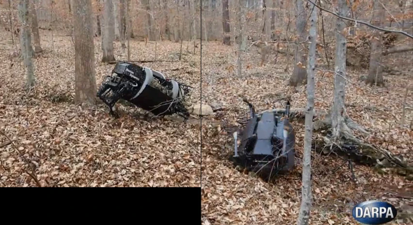 DARPA's robotic pack mule takes a stumble, but rolls back onto its feet moments later thanks to its barrel-shaped body