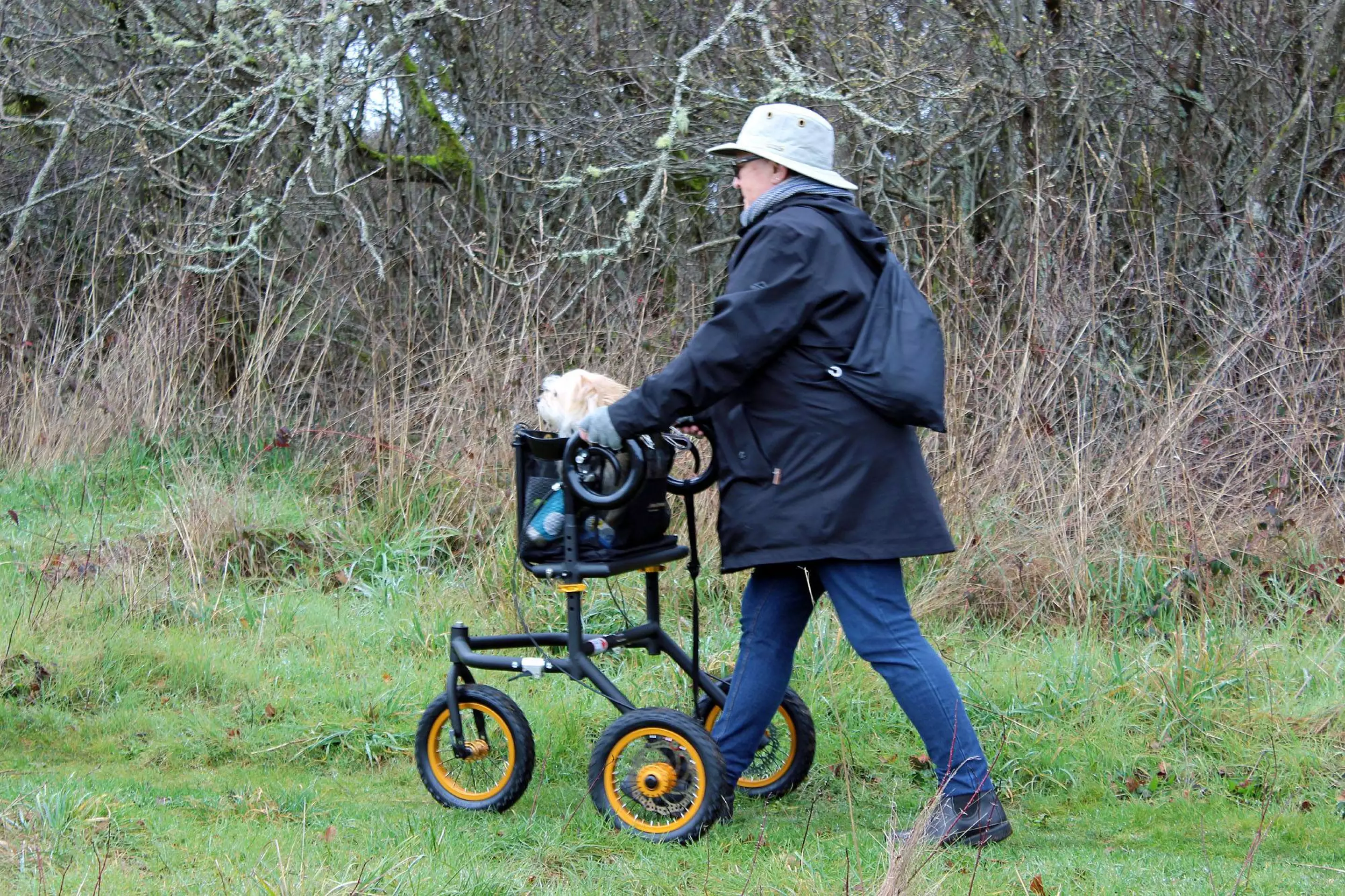 Canadian inventor creates the mountain bike of walkers