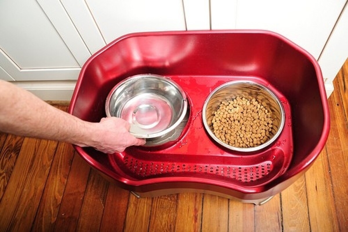 Neater Feeder Stops Mealtime Mess