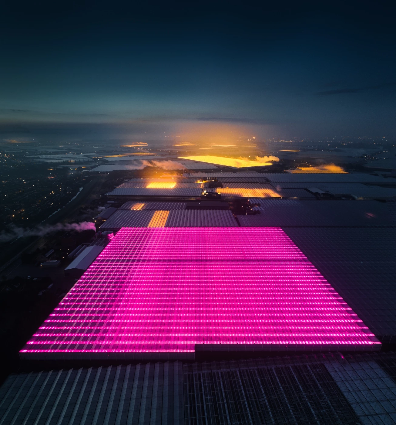 1st Place / Architecture/Industrial. 'LED Greenhouses'