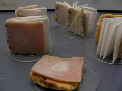 The Cryobook Archives is a project that generated books grown out of human skin tissue