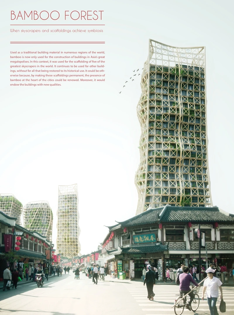 Honorable Mention - Bamboo Forest: Skyscrapers And Scaffoldings In Symbiosis by Thibaut Deprez (France)