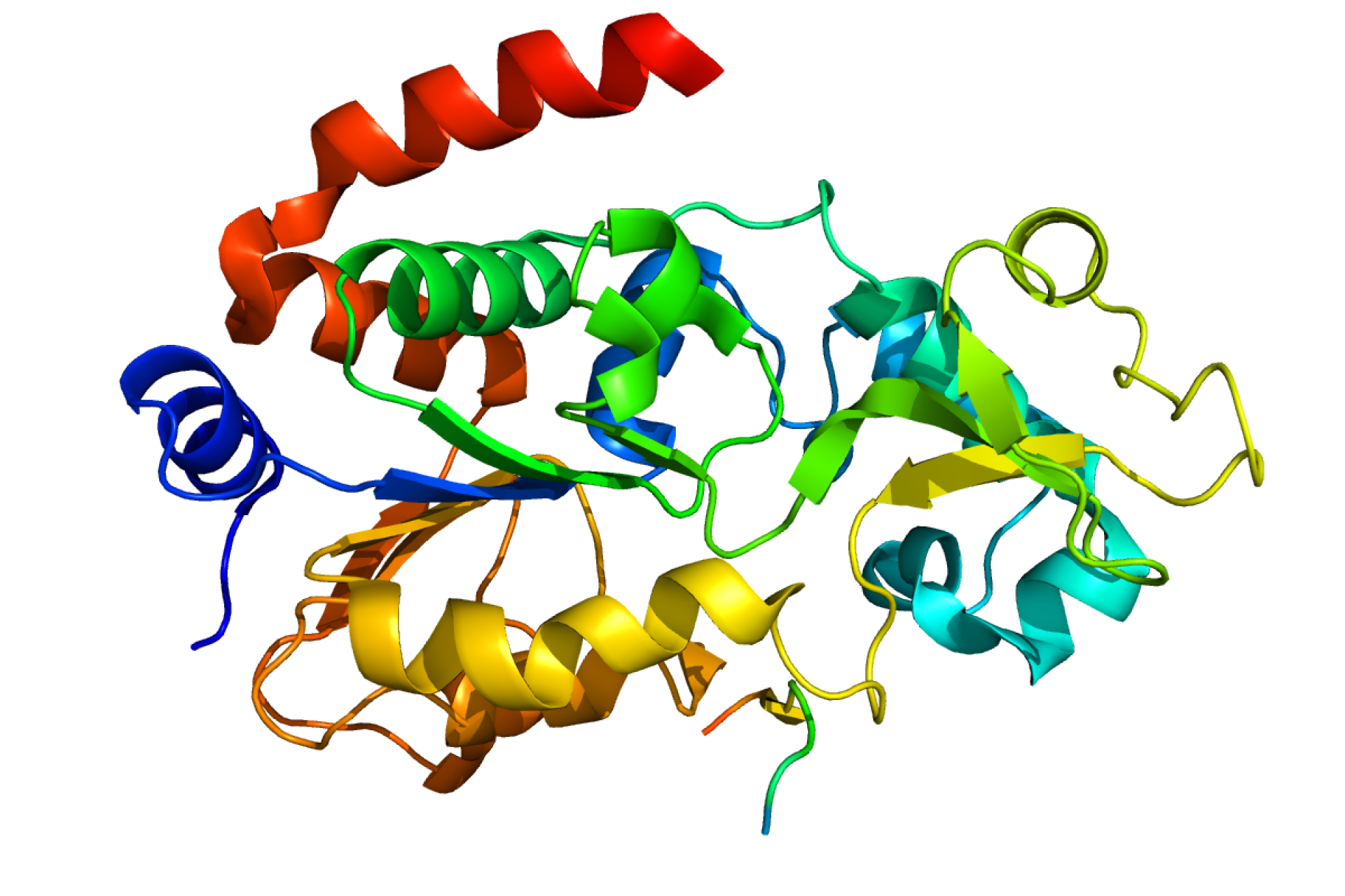 Белки биология и химия. Белок s-100 функции. Холинэстераза биохимия. Особенности переваривания белков у жвачных. Строение пищеварительной системы крупного рогатого скота.