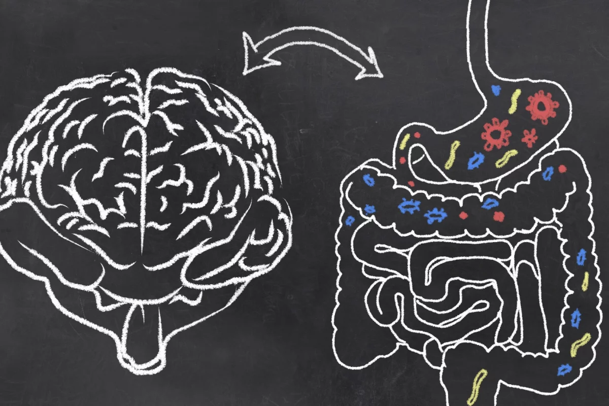 A new study shows that a person's gut microbiota can be positively altered through non-invasive transcranial magnetic stimulation