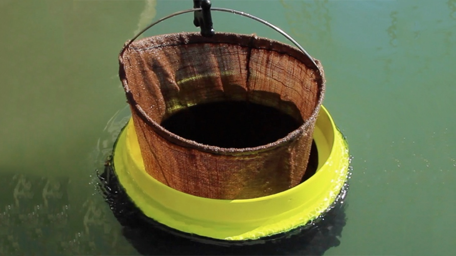 The Seabin is installed on a dock and plumbed into a shore-based water pump