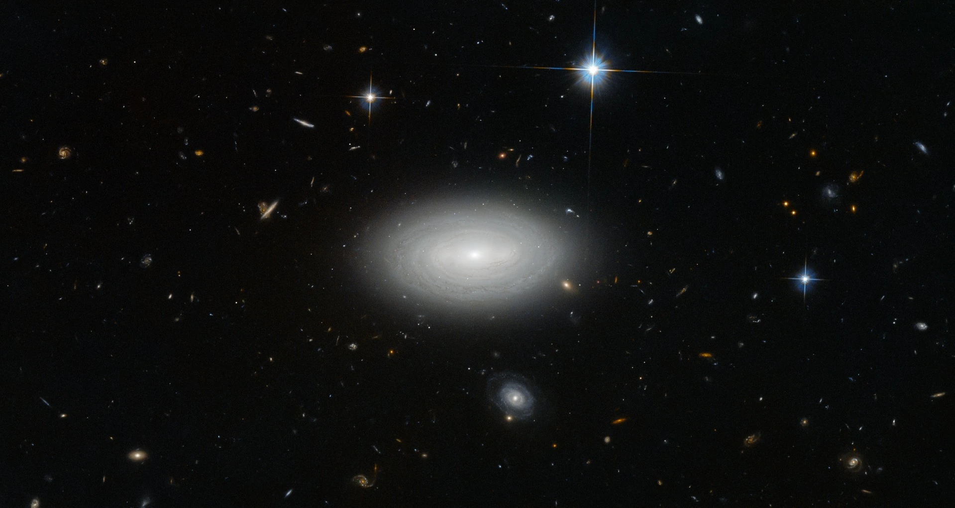 Only three local stars appear in this image, quartered by right-angled diffraction spikes. Everything besides them is a galaxy; floating like a swarm of microbes in a drop of water, and brought into view here not by a microscope, but by the Advanced Camera for Surveys on the Hubble Space Telescope