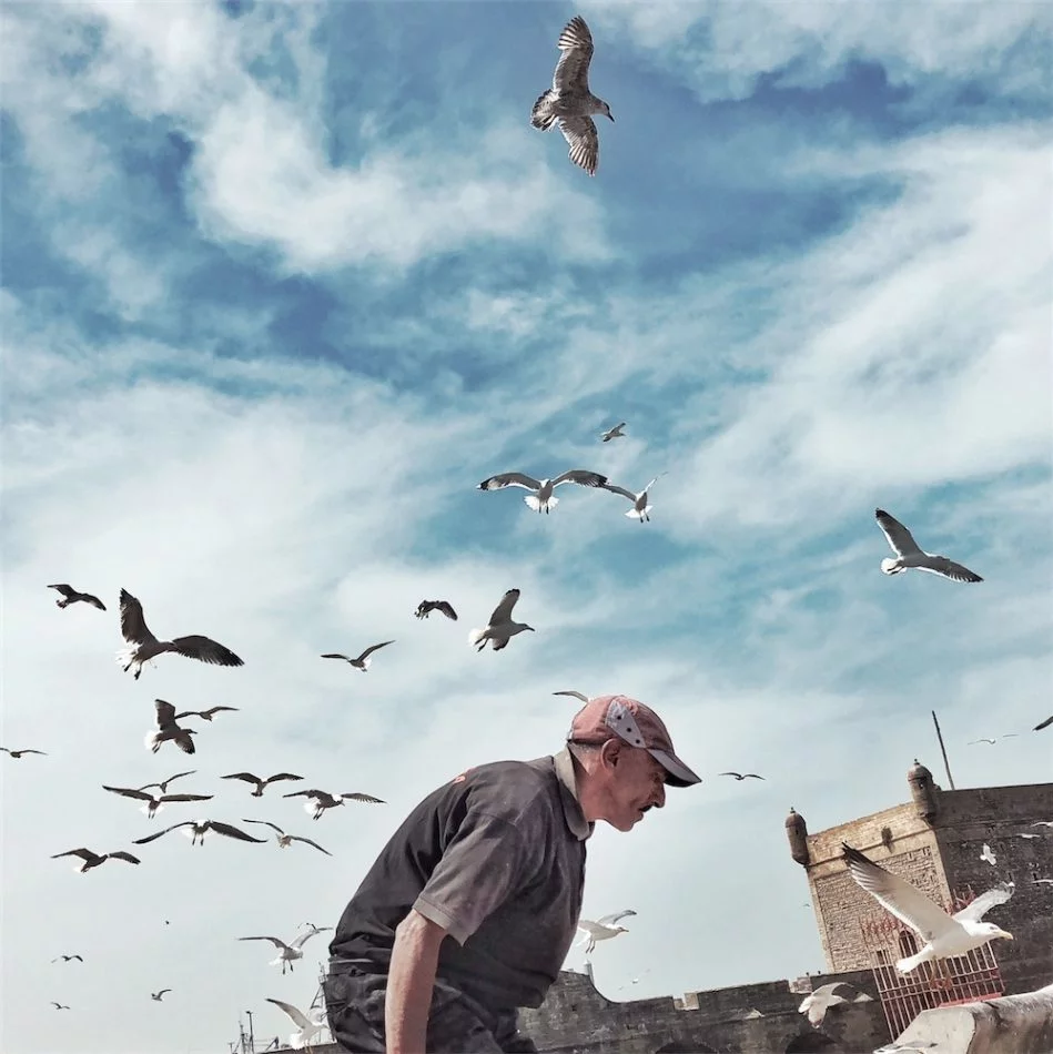 Honorable mention in the panorama category of the 2018 iPhone Photography Awards