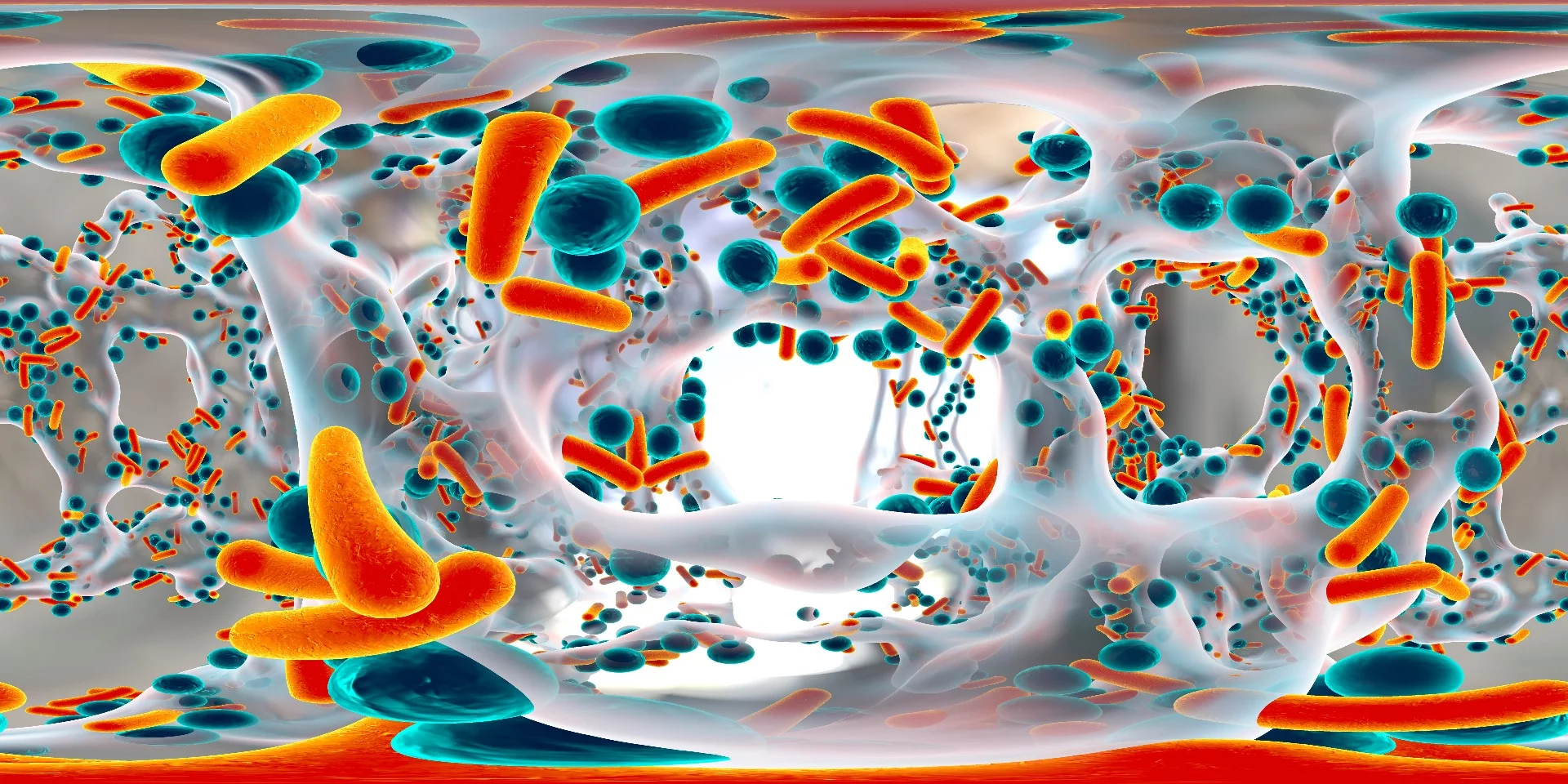 In a document released this week, the World Health Organization identified 12 bacterial time bombs that require immediate attention before they get out of hand