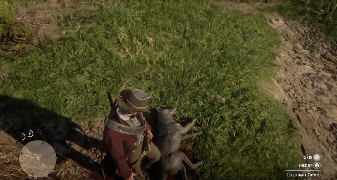Once you kill the Legendary Coyote, skin it for its pelt