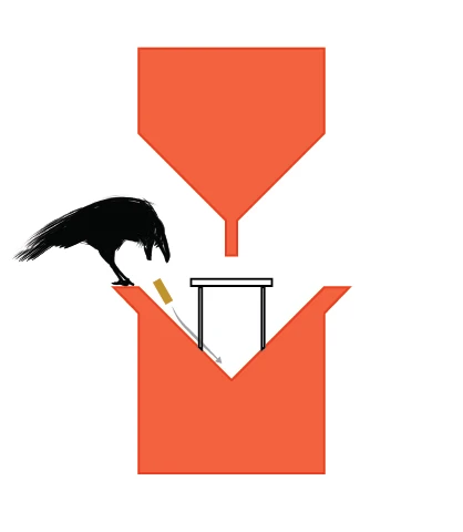 Can crows be trained to collect cigarette butts in exchange for food?
