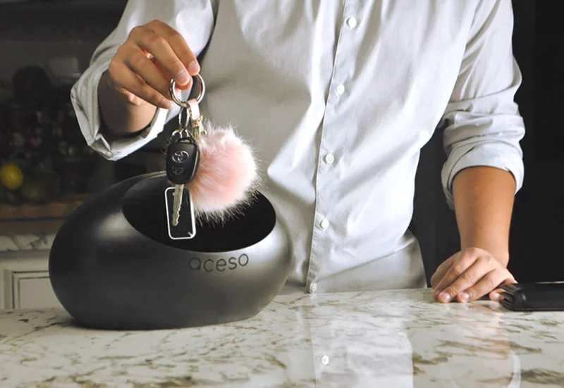 ACESO is designed to sanitize a multitude of household items