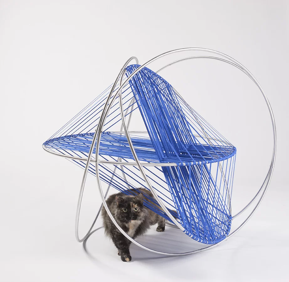 4DSH architecture clearly like to think outside the box (Photo: Grey Crawford)