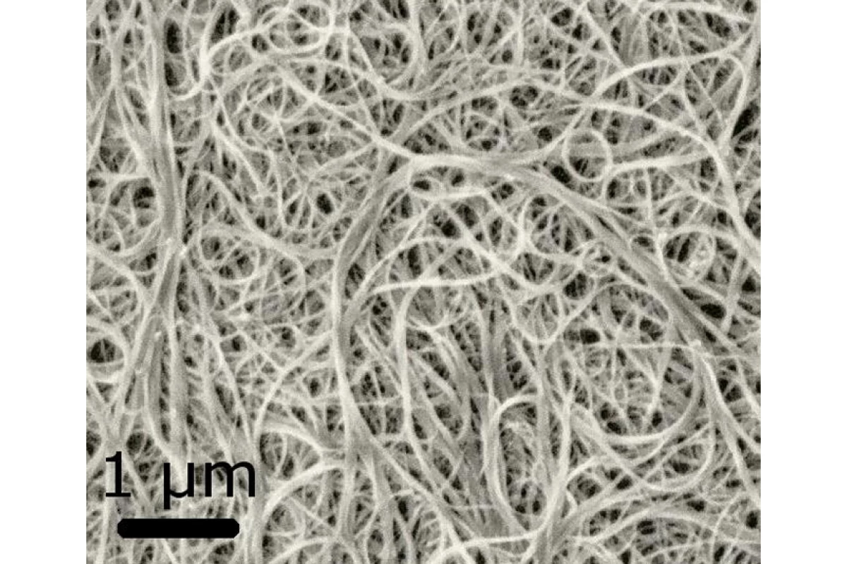 SEM image of carbon nanotube bundles (Image: Materialscientist via Wikipedia Commons)