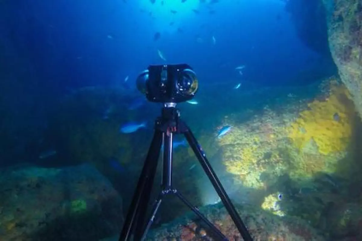The Boxfish 360 is a professional-grade 360-degree underwater camera with Micro Four Thirds sensors