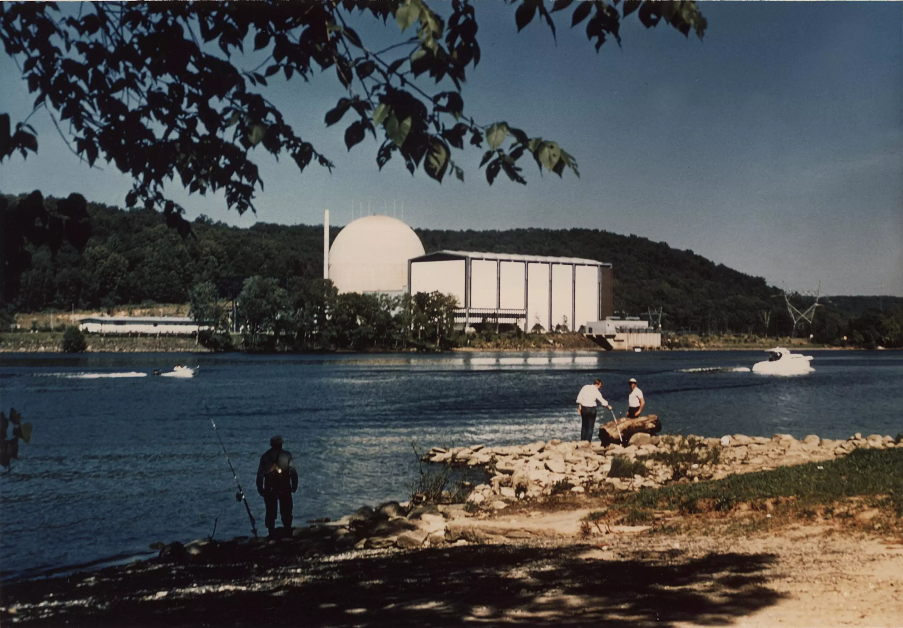 A Generation II plant