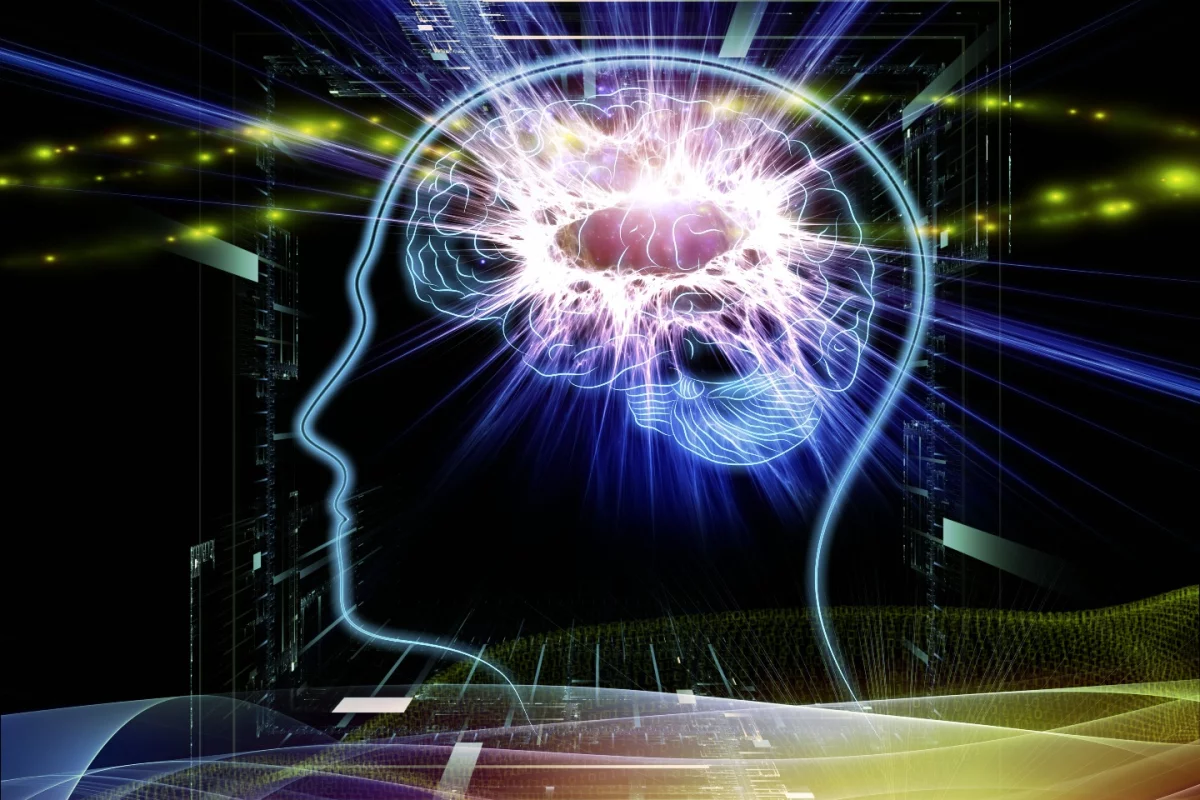 Neuroscientists claim to have found the first evidence of a "higher" state of consciousness