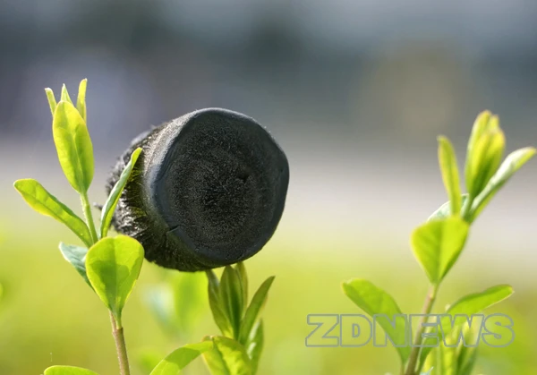 The graphene aerogel has a density of just 0.16 mg/cm3