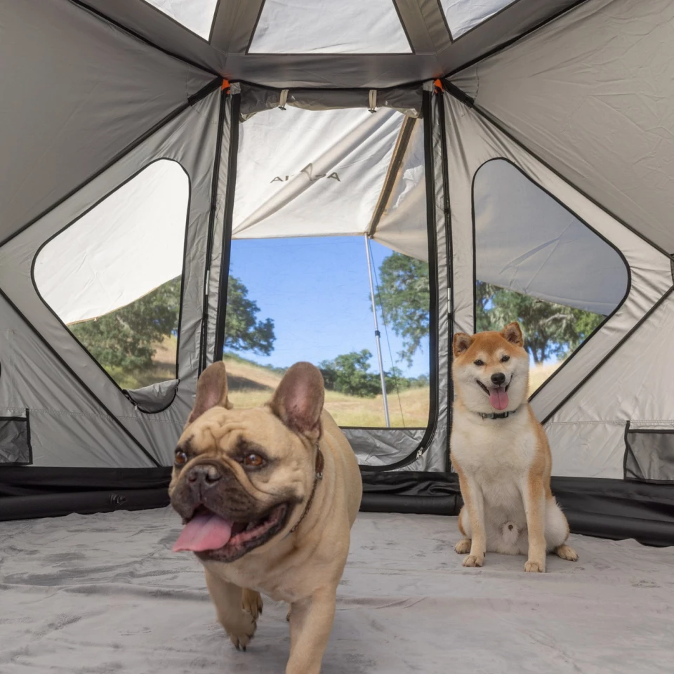 A peek inside the tent