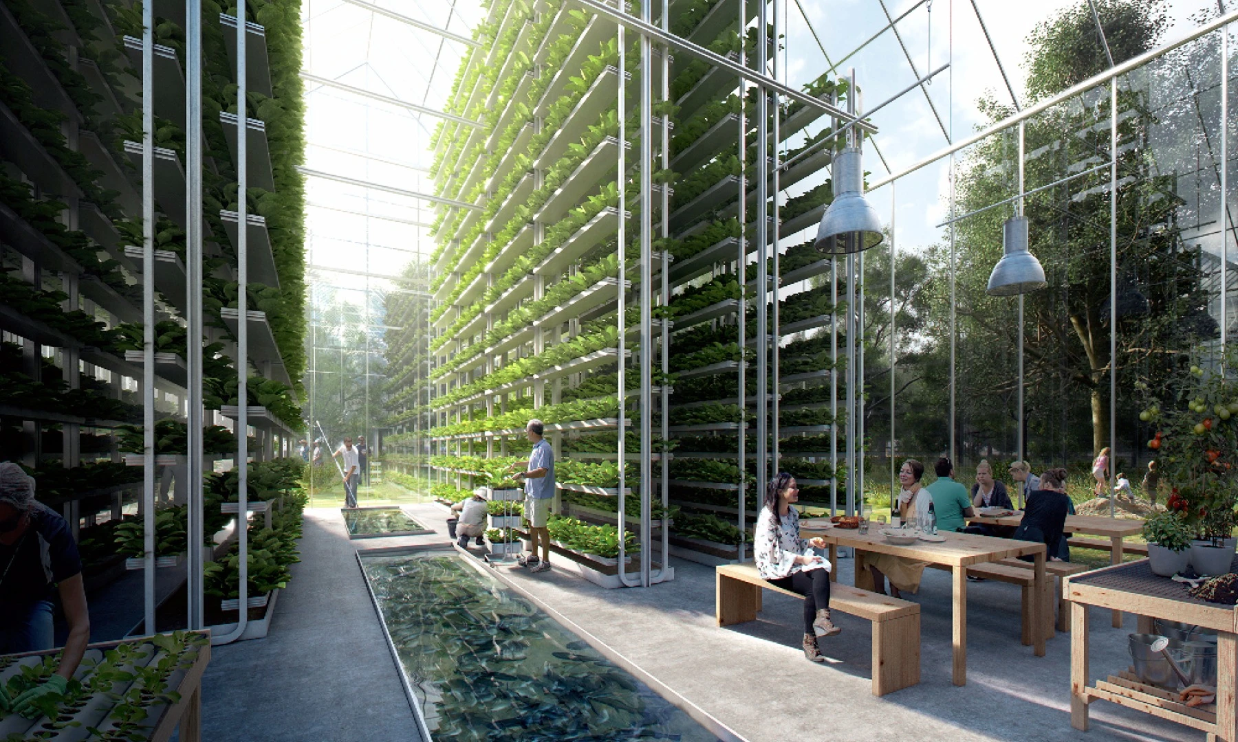 Among the technologies employed at the villages are renewable energy vertical farming aquaponics and aeroponics