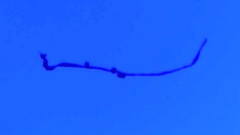 Strings of lint were among the objects that the researchers were able to levitate, along with balls of glass, ceramic and plastic, ice particles and seeds