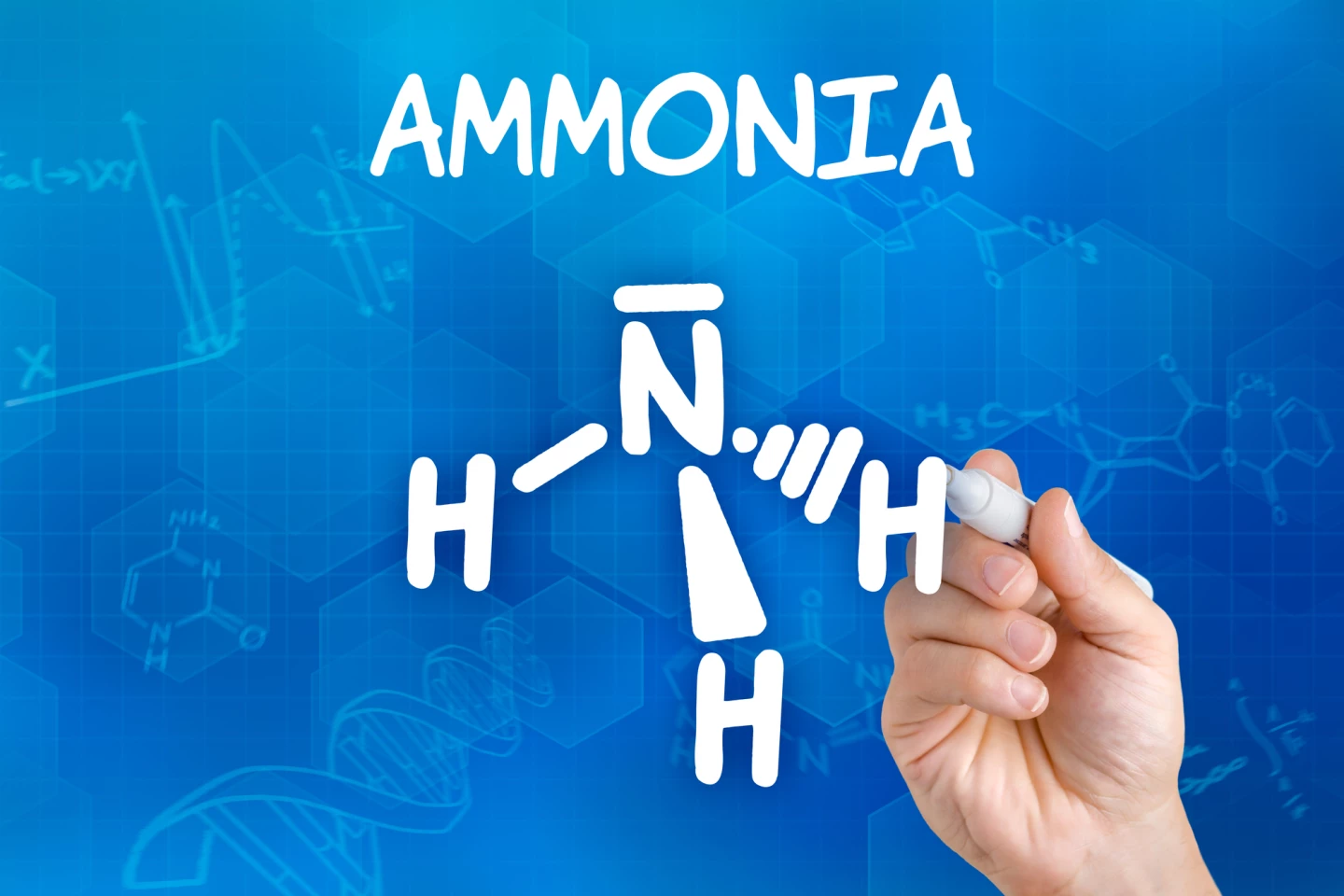 Three hydrogen atoms joined to a single nitrogen atom. There's more hydrogen in ammonia than in hydrogen itself