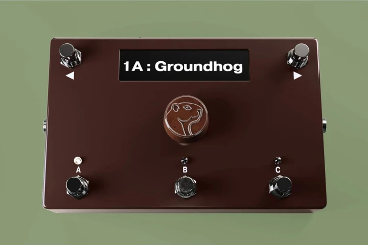 The OnePedal features buttons to scroll through tones and songs with multiple tones, a 4-inch display, and maybe-too-simple IO options