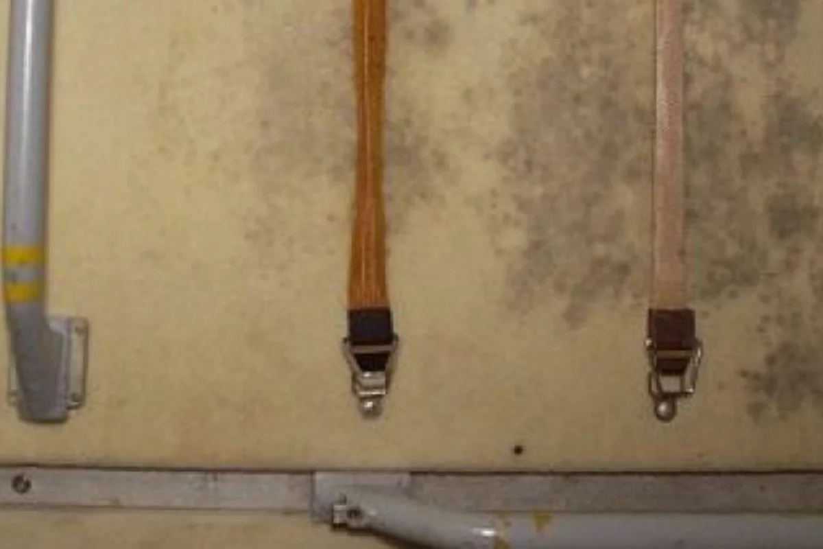 Mold grows on the International Space Station on a panel where exercise clothes were hung to dry