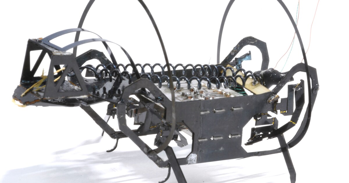 Buggy bot uses a bio-inspired “tail” to jump 23 times its own body length Buggy bot uses a bio-inspired “tail” to jump 23 times its own body length