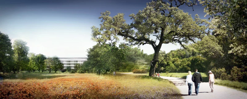A country walk on Apple's campus