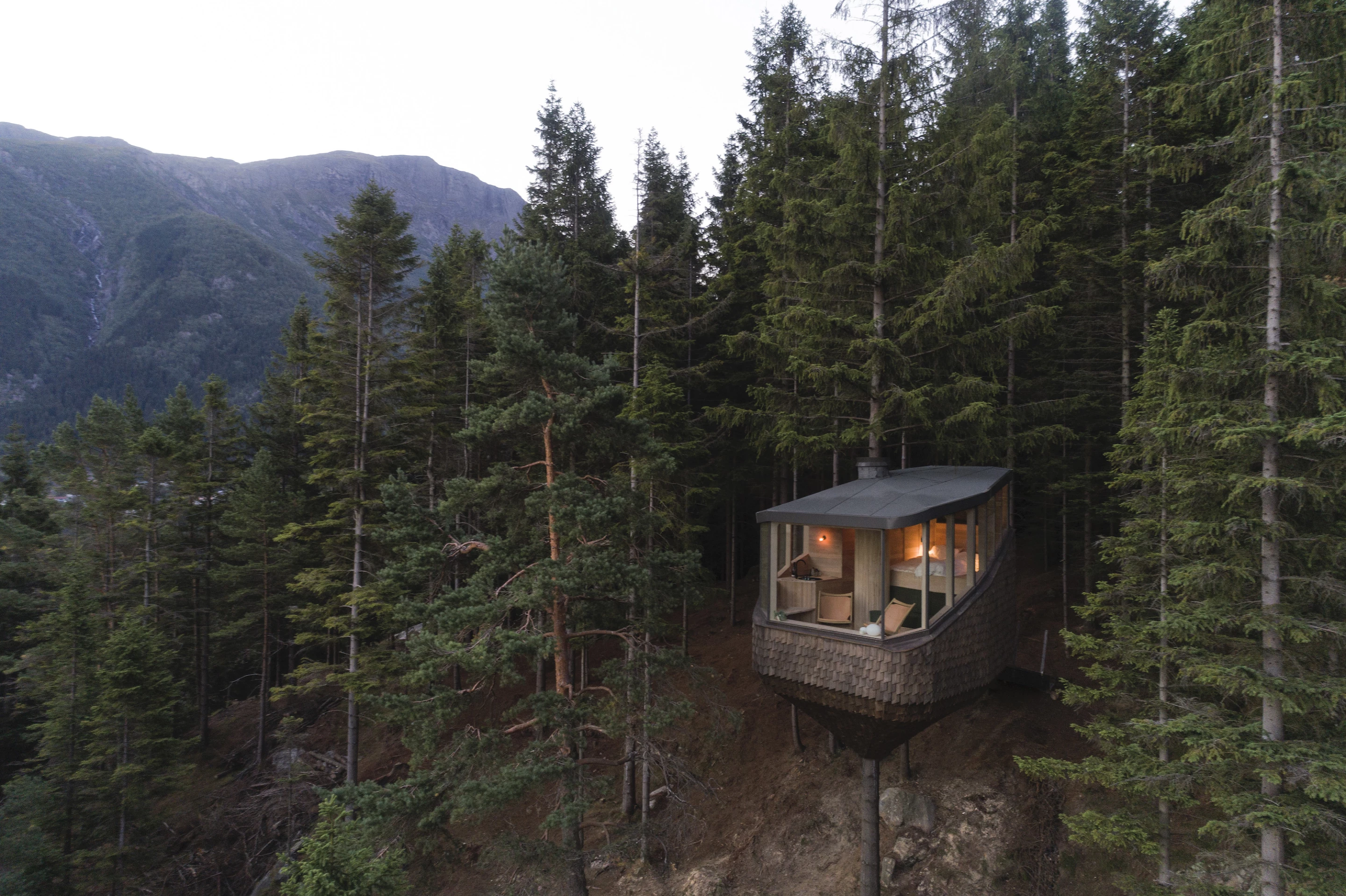 Woodnest is located in a forest near the Hardangerfjord in Odda, Norway
