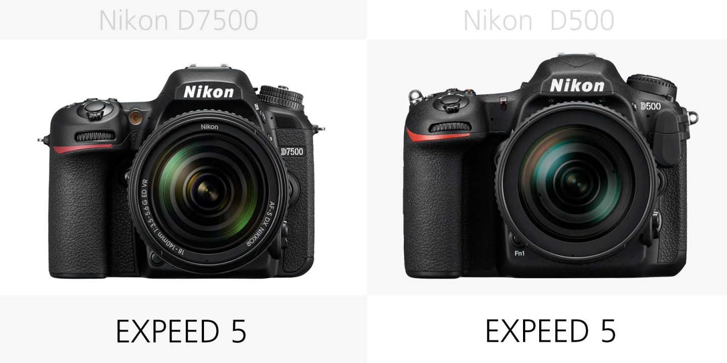 The image processors of the Nikon D7500 and Nikon D500 compared