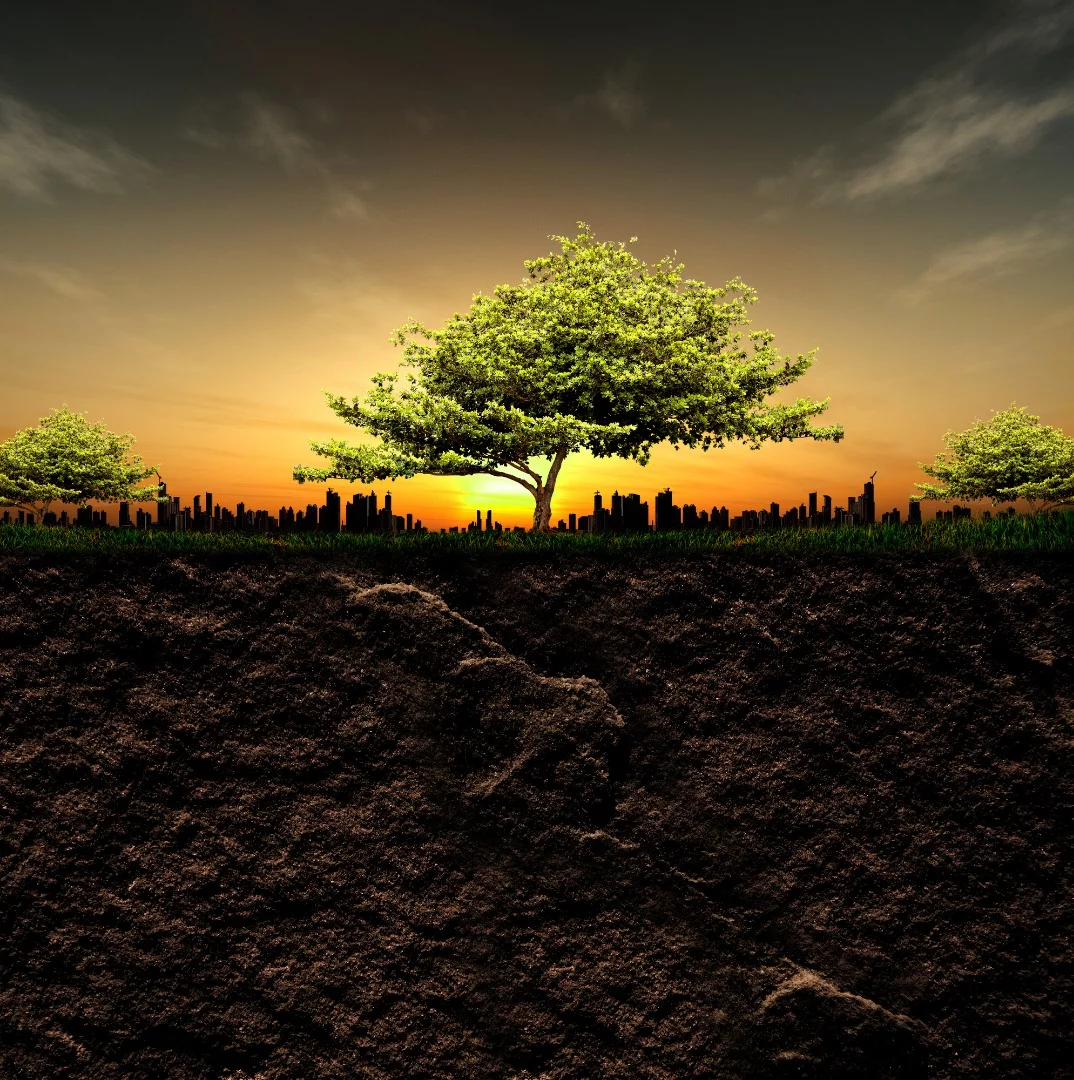 Researchers have cataloged the extensive biosphere of life deep beneath the surface of the Earth