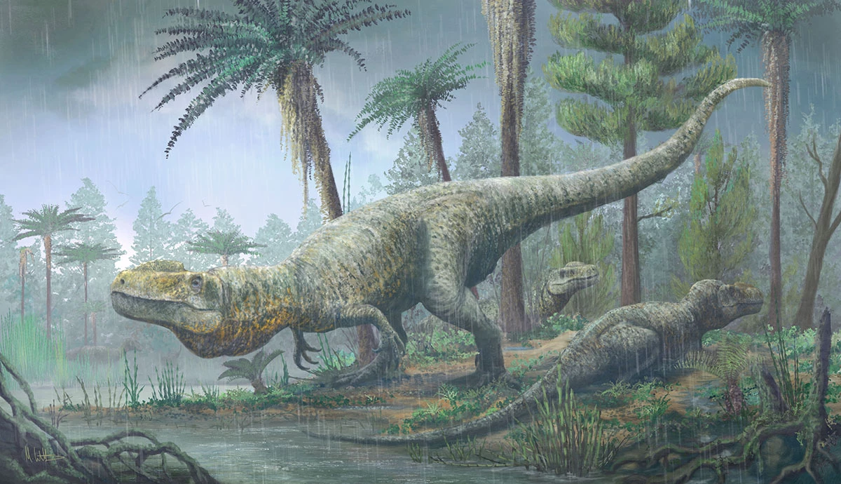 The fearsome Megalosaurus is believed to have measured as much as 30 ft in length, similar to a city bus