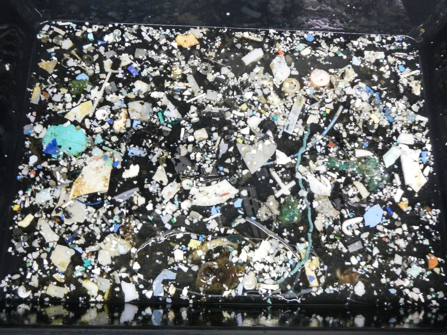 For better or for worse, science is teaching us more and more about the huge amount of plastic that we're pouring into the ocean