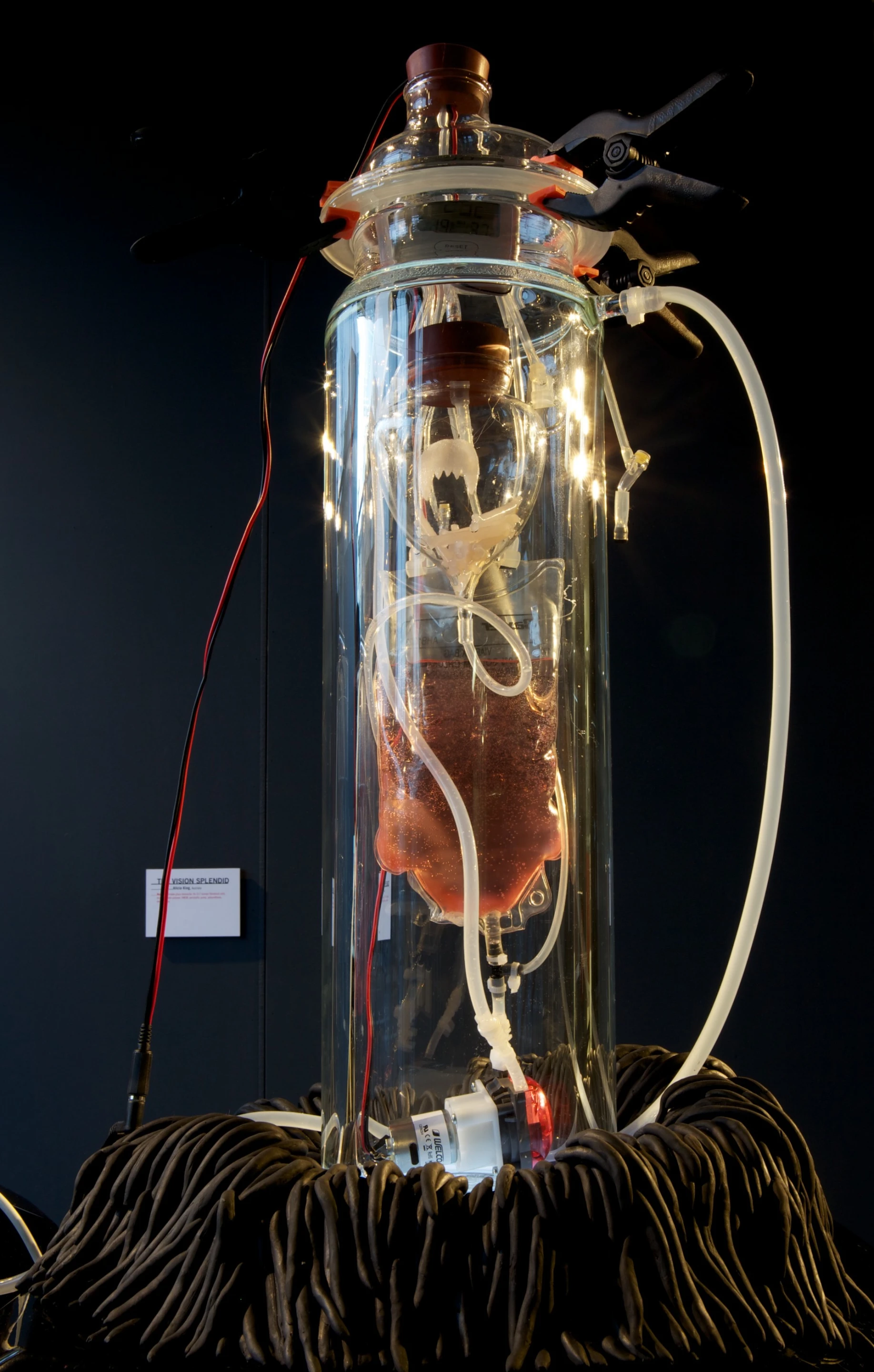 The Vision Splendid is a 'living relic' made from donated skin cells